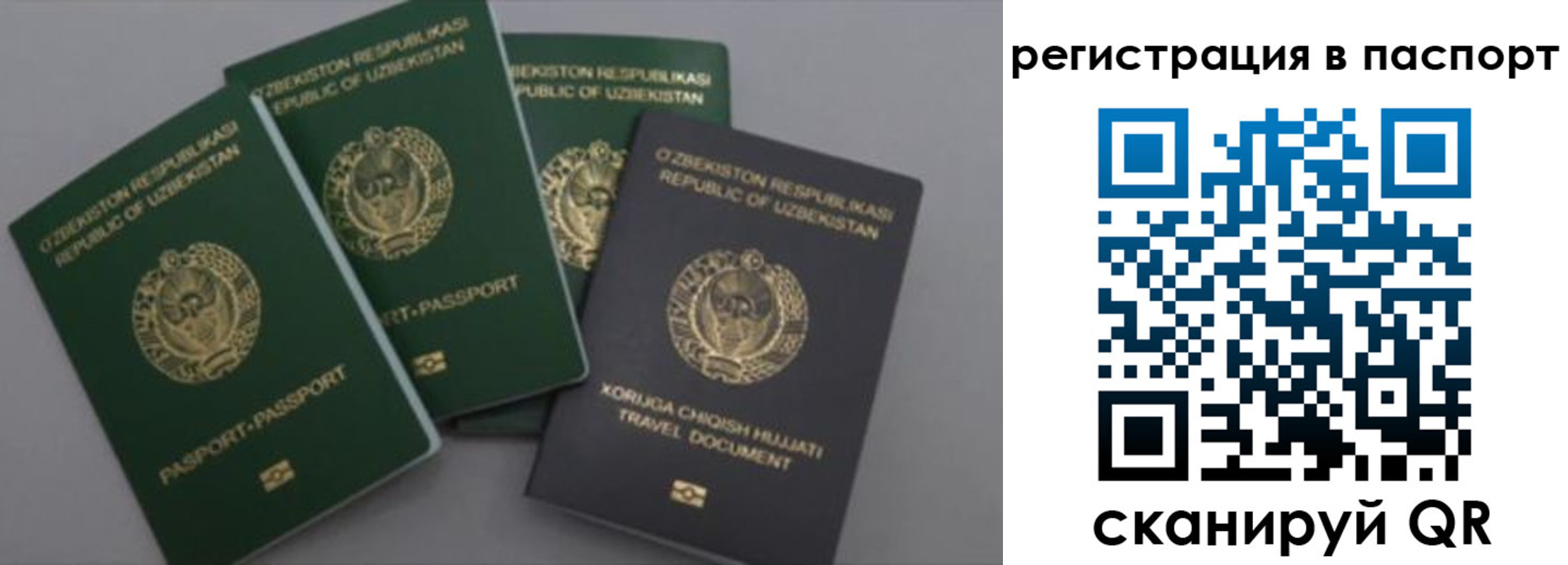 прописка от собственника в Омской области
